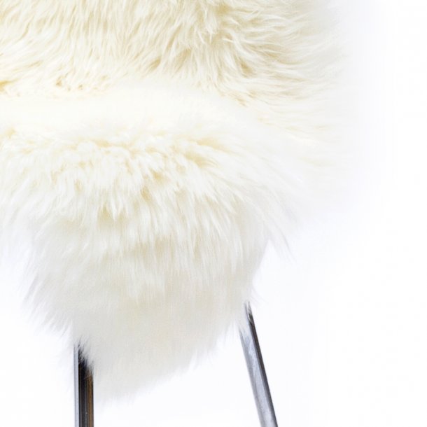 ko lammeskind - White