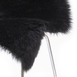 ko lammeskind - Black