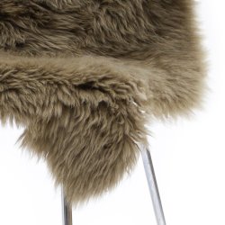 ko lammeskind - Khaki